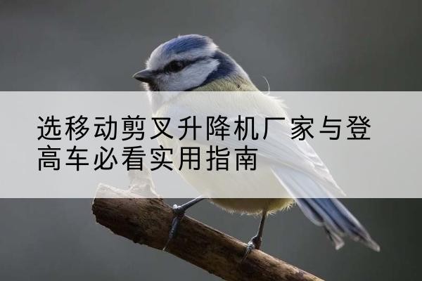 铅山电动升降机厂家-选移动剪叉升降机厂家与登高车必看实用指南