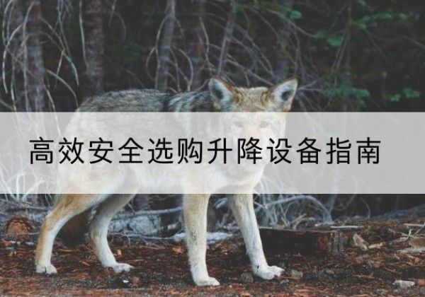 铅山升降货梯厂家推荐-*安全选购升降设备指南